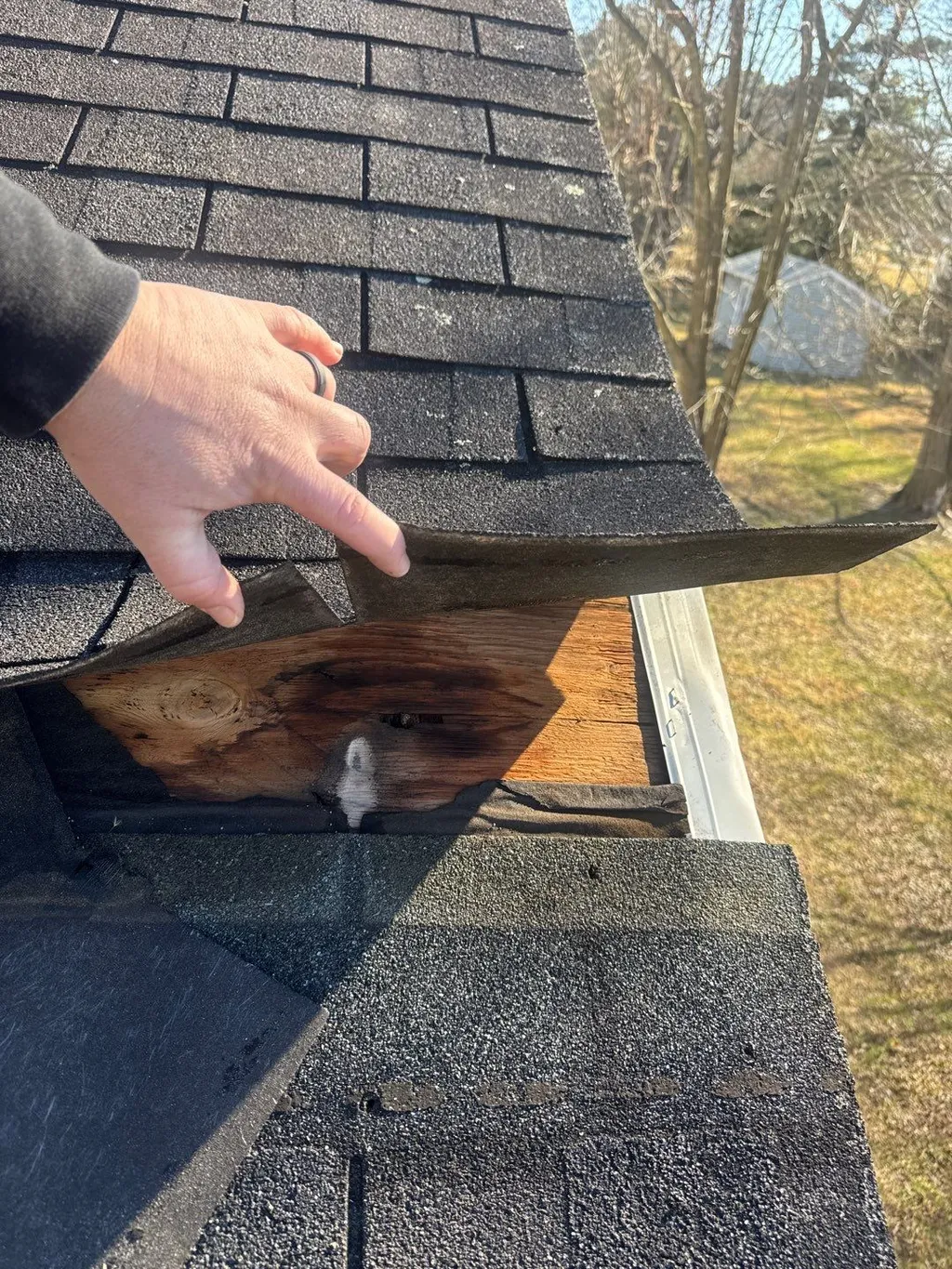 Inspector evaluating roof condition