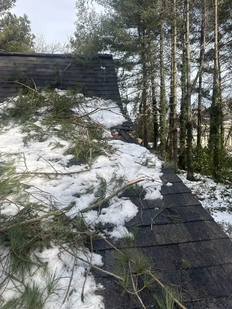 Downed pine limbs and snow across the roof slopes after the winter storm